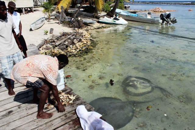 retour de pêche au homard
