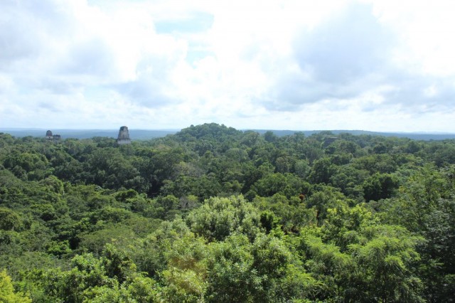 Vue du temple 4 (ou  base rebelle de Yavin)