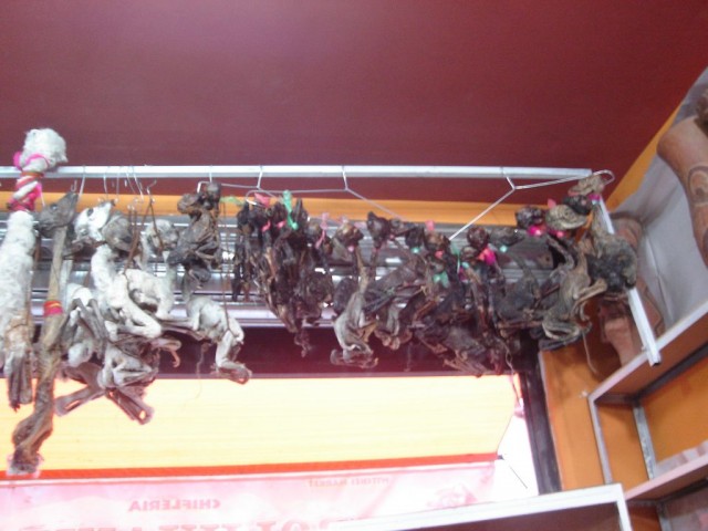 La Paz - Marché aux sorcières et ses foetus de Lama