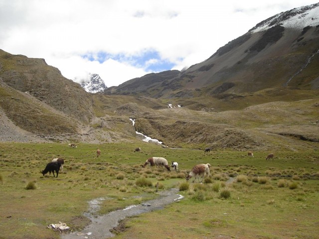 Vallée de Condoriri