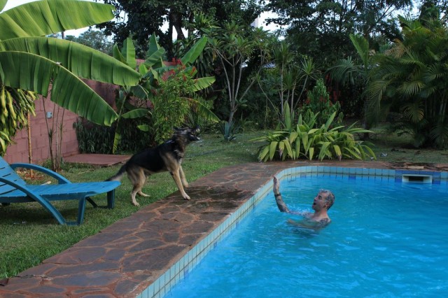 Tango (le chien) au bord de l'eau