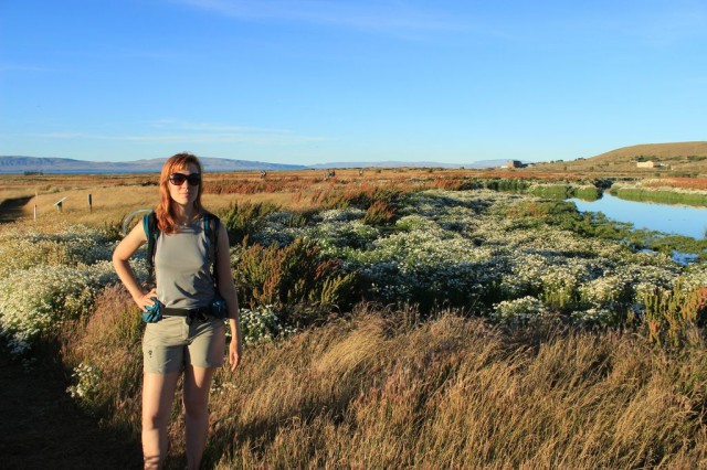 Après Ushuaia, on sort le short à la réserve de la laguna Nimez (El Calafate)