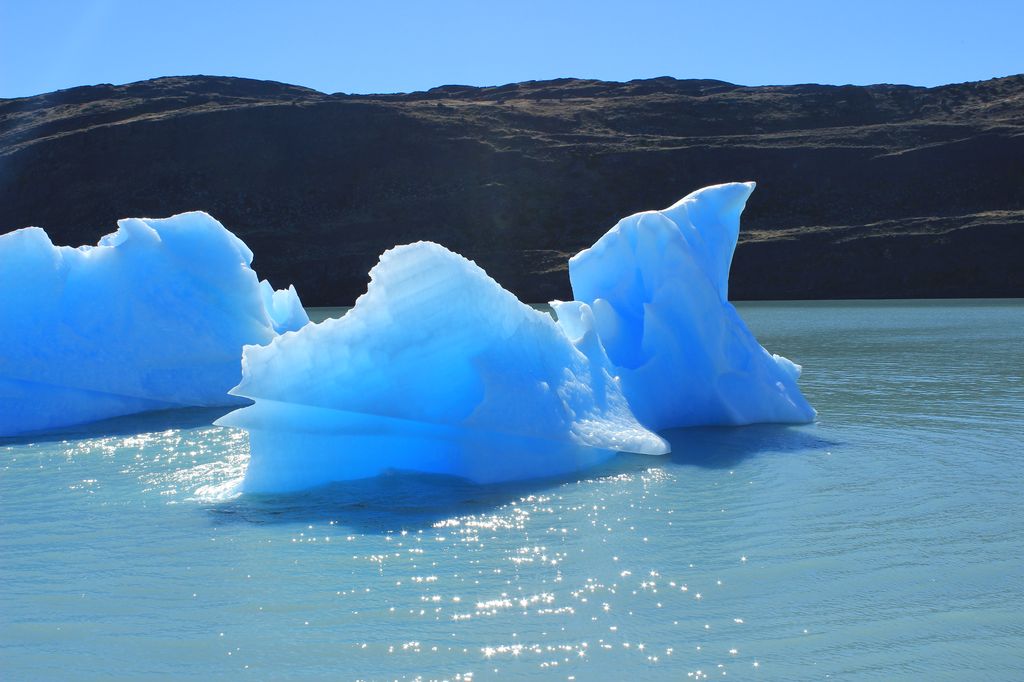 nos premiers iceberg! en bateau sur le lago Argentino