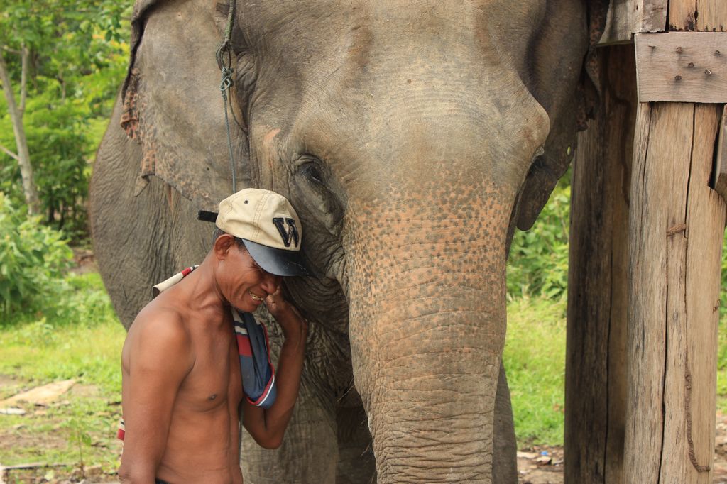 le Mahout et son éléphante.